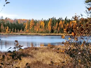 Minnesota lake and Fall colors