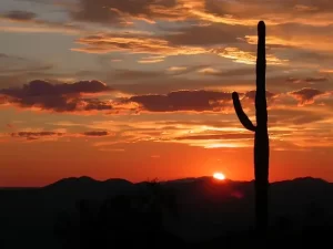 Arizona landscape at sunset