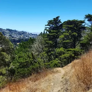 California John McLaren Park