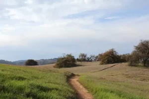 California - Santa Rosa hills