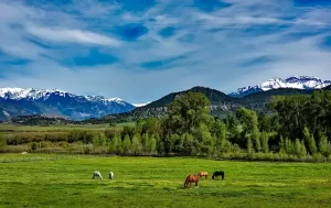 Colorado - landscape - mountains in distance