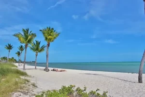 Florida beach with blue sky and palms