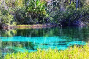 Lauderdale Lakes Florida 