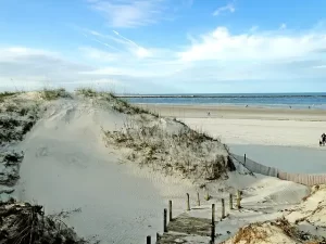 Florida sand dunes