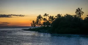 Florida sunset, water and palm trees