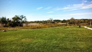 Illinois - Meadow