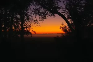 Illinois - ground-mist-illinois-dawn