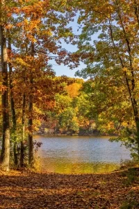 Massachusetts - lake in Fall