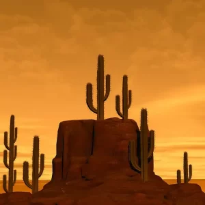 Mesa Arizona desert