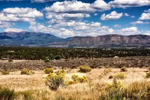 Colorado - Mesa Verde National Park