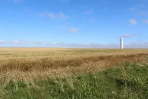 Oklahoma - wheat fields