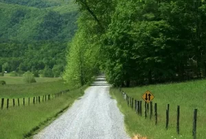 Tennessee country road