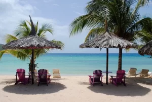 Caribbean Beach-palm trees